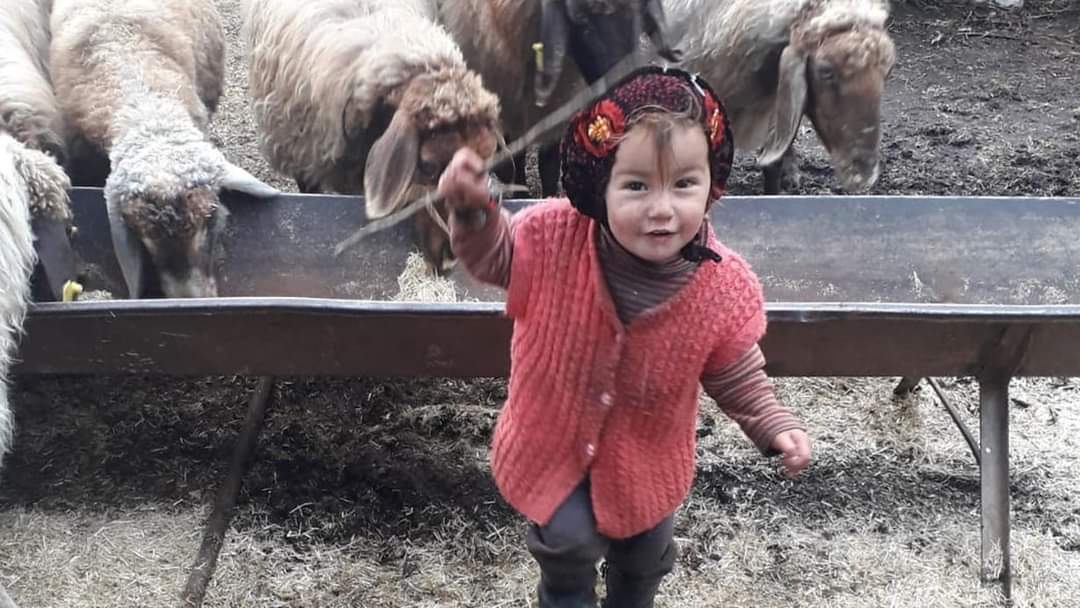3 yaşındaki Müslüme’nin cansız bedeni bulundu